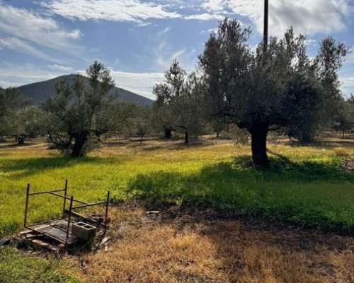 φωτογραφία ακινήτου