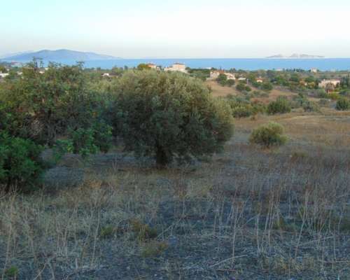 φωτογραφία ακινήτου