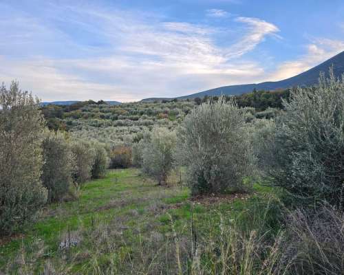 εικόνα ακινήτου