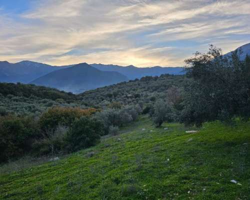 φωτογραφία ακινήτου