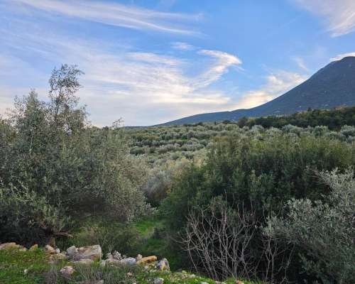 φωτογραφία ακινήτου