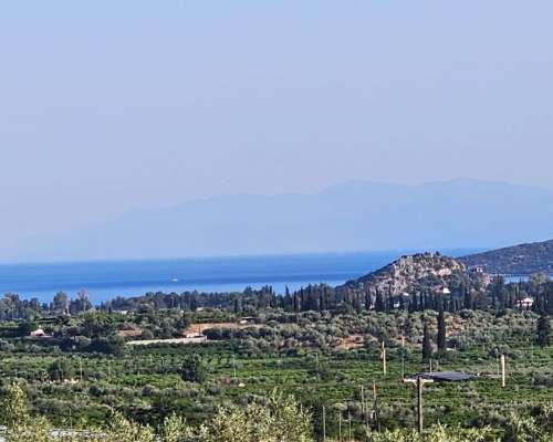 εικόνα ακινήτου