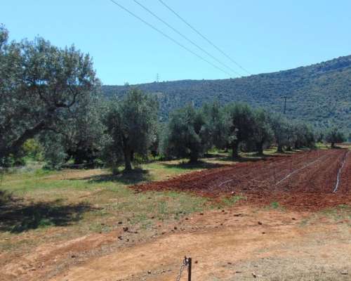 φωτογραφία ακινήτου
