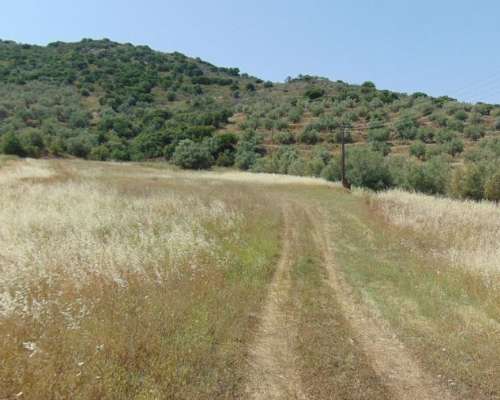 φωτογραφία ακινήτου