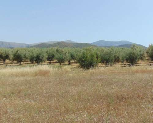 φωτογραφία ακινήτου