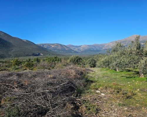 φωτογραφία ακινήτου