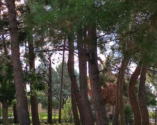 φωτογραφία ακινήτου