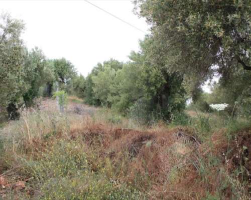 φωτογραφία ακινήτου