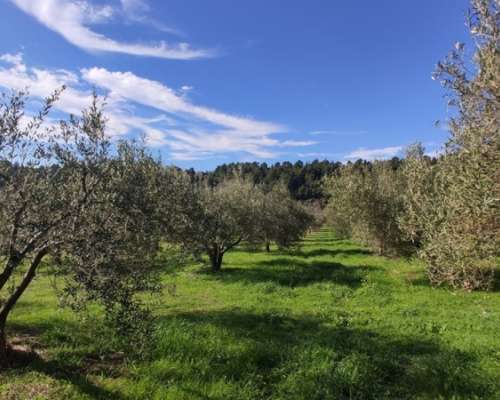 φωτογραφία ακινήτου