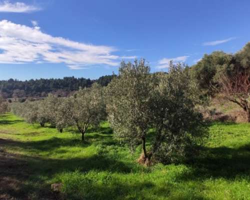 φωτογραφία ακινήτου