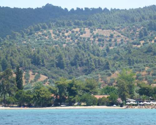 εικόνα ακινήτου