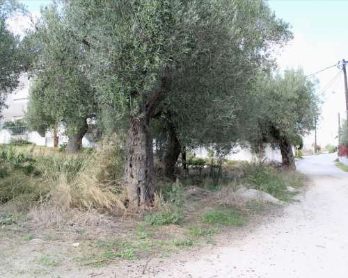 φωτογραφία ακινήτου